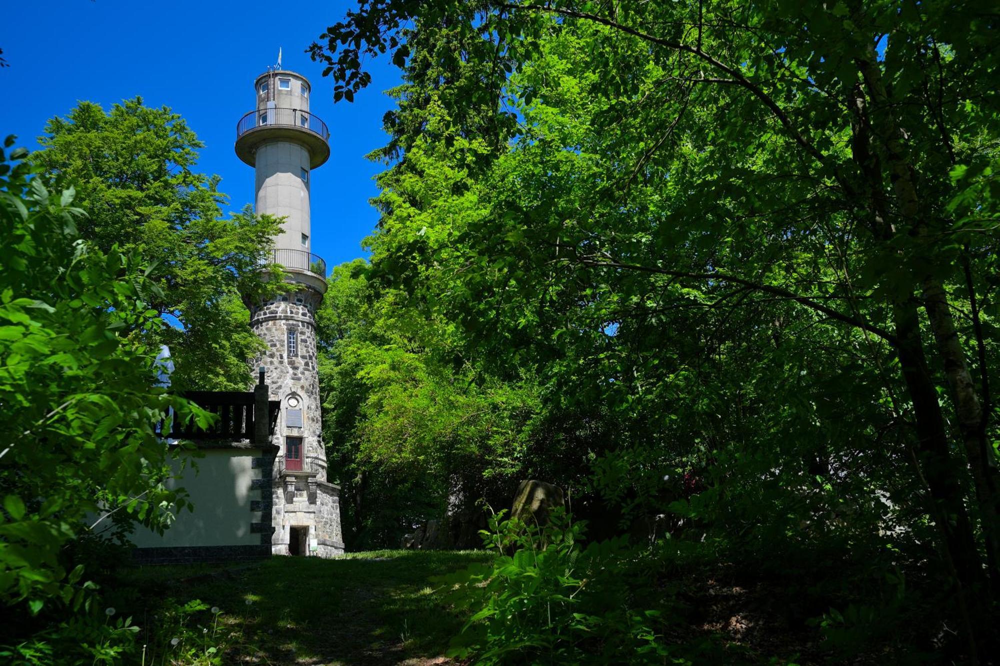 Gasthof Ungerberg Neustadt in Sachsen Eksteriør billede